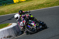 Advanced Group Multicolour Bikes